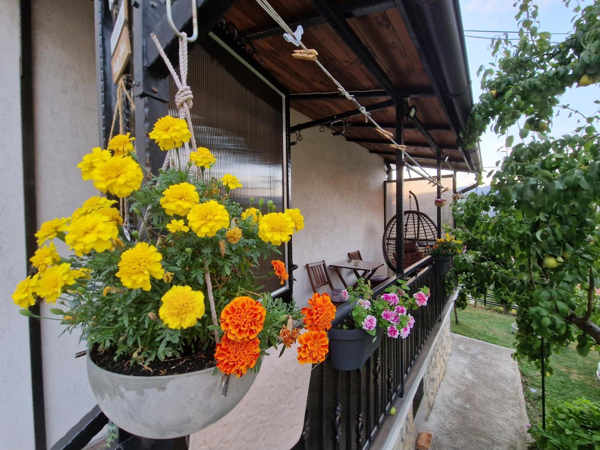 Garden Of Dreams & Free Private Parking Apartamento Saraievo Exterior foto